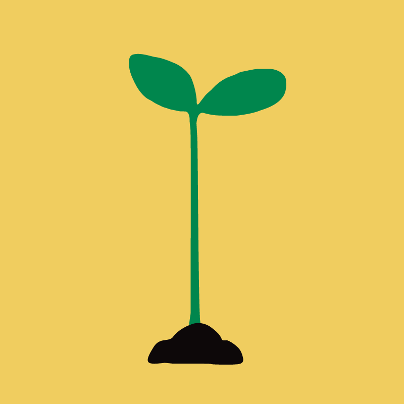 Sprout illustration